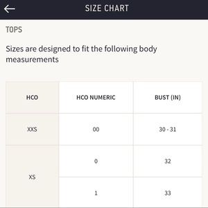 hollister shirt size chart